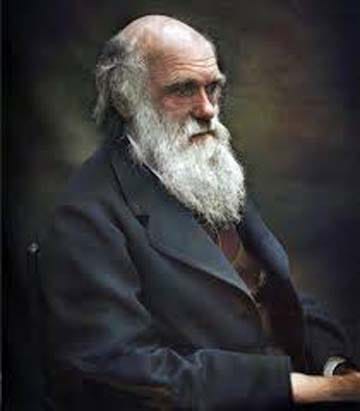 Darwin