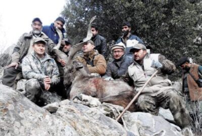 Villagers vacate pastures for conservation of markhors