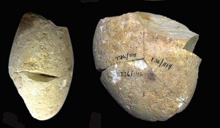 Turning point in human evolution found in Israel