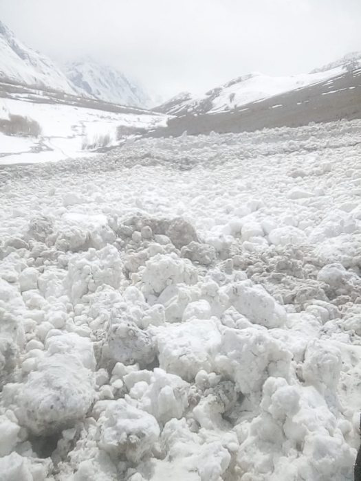 Avalanche kills 35 cows and goats