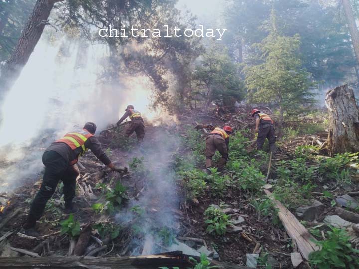 Forest fire in Birir still rages on