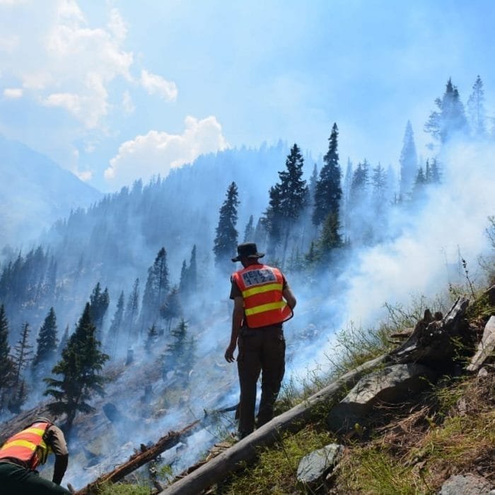 Forest fire partially put out in Drosh Gol
