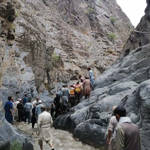 Forest dept official falls to ravine