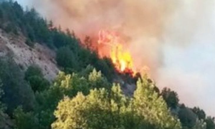 Fire in Chitral Gol National Park