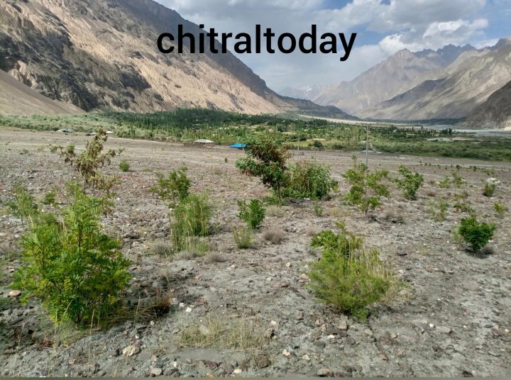 Nigahbans in Upper Chitral without pay khotanlasht