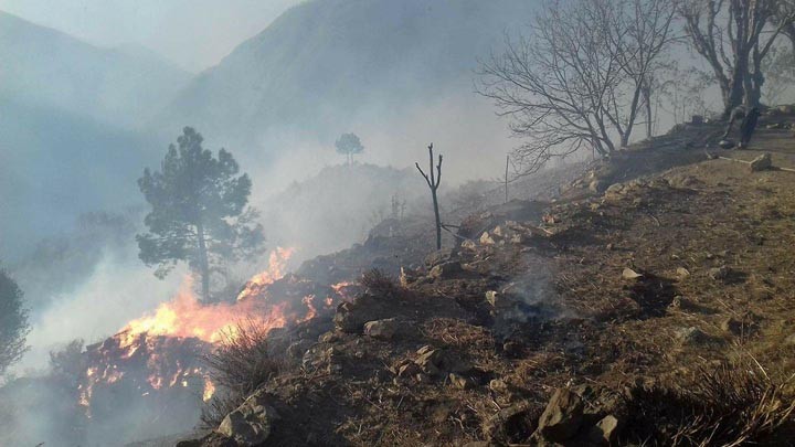 No mention of Chitral's forest fires in govt report