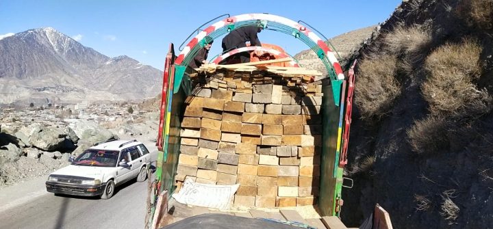Timber smuggling bid foiled, seven arrested