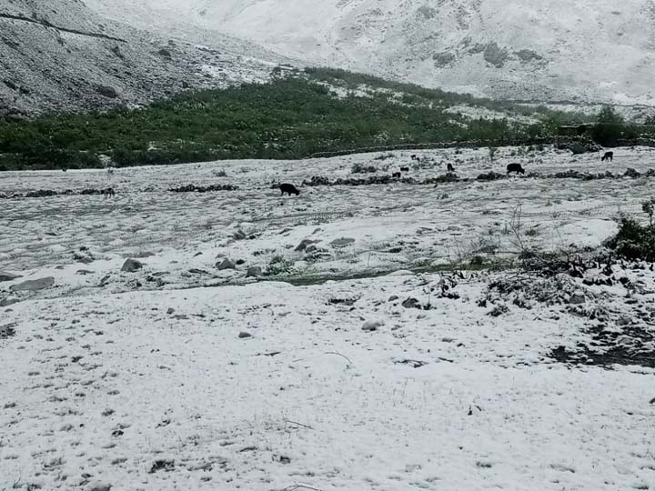 Heavy summer snowfall hits many areas across Chitral
