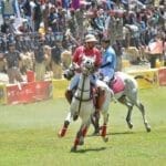 polo 1