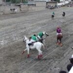 polo