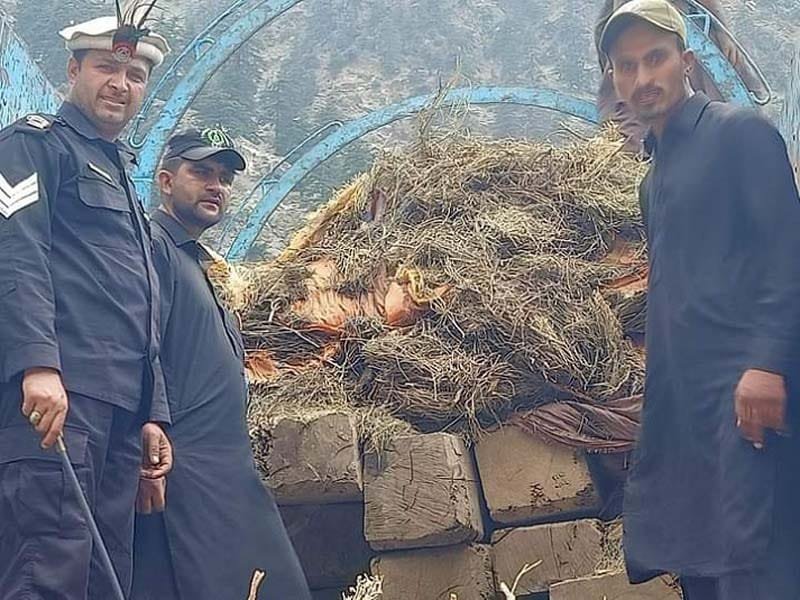 One arrested, truck impounded for trying to smuggle timber