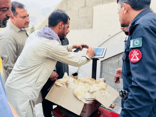 Direct Chicken Supply from Punjab to Break Mafia Control in Chitral