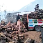 Firewood stocks in Chitral. Deodar firewood