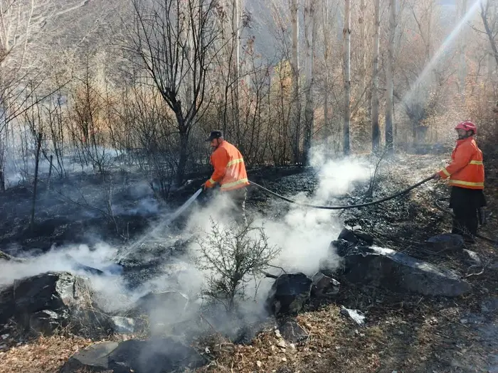 Rescue 1122 staffer douse fire that erupted in bushes in Chinar village of Upper Chitral on Nov 21, 2025.