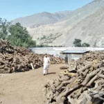 Firewood in Chitral