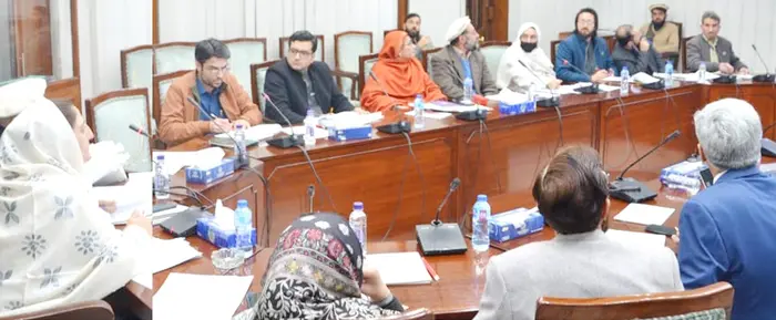 Deputy Speaker Suriya Bibi chairs meeting to discuss funding for Upper Chitral schools.