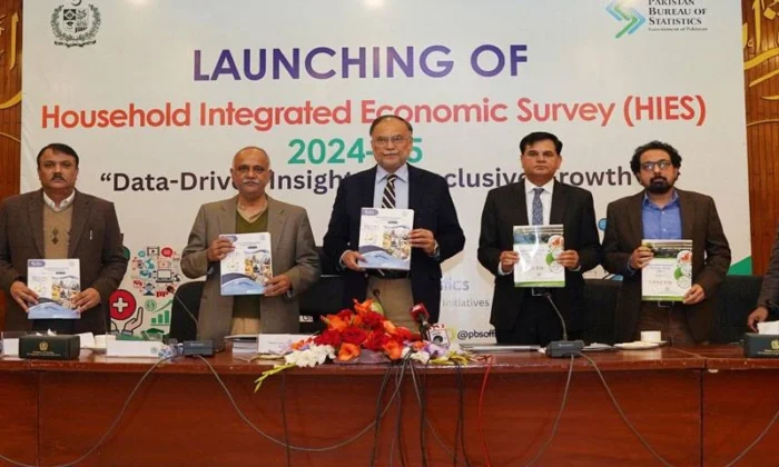Digital Household Integrated Economic Survey 2024–25 launched by planning minister Ahsan Iqbal, Jan 1, 2026.