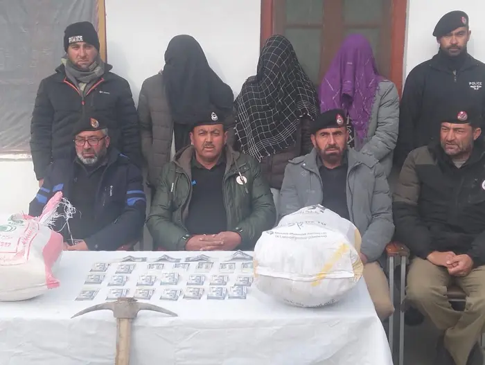 Suspects in theft cades in Gohkir, Reshun and other areas of Upper Chitral in police custody.