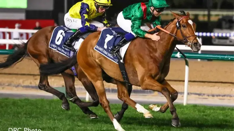 Horse from Aga Khan stud in Dubail race.