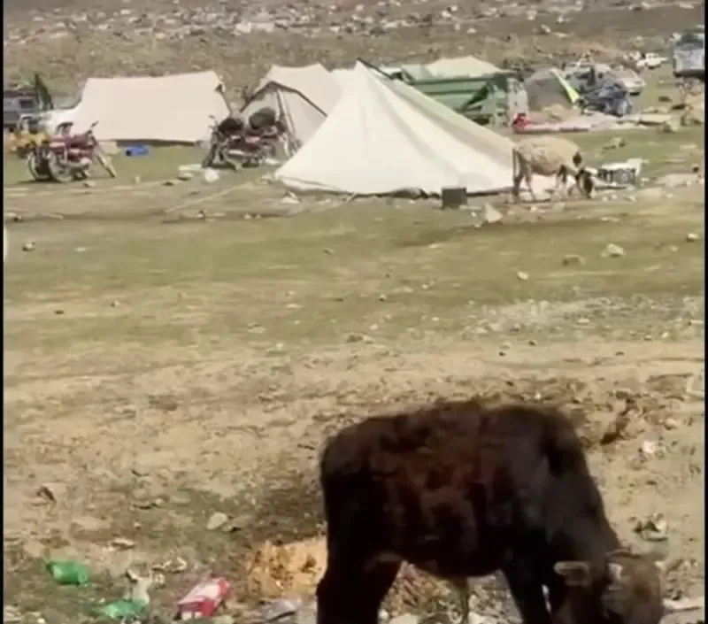 Squalid rents installed amid grazing cattle show poor condition of Shandur festival venue in June 2026.