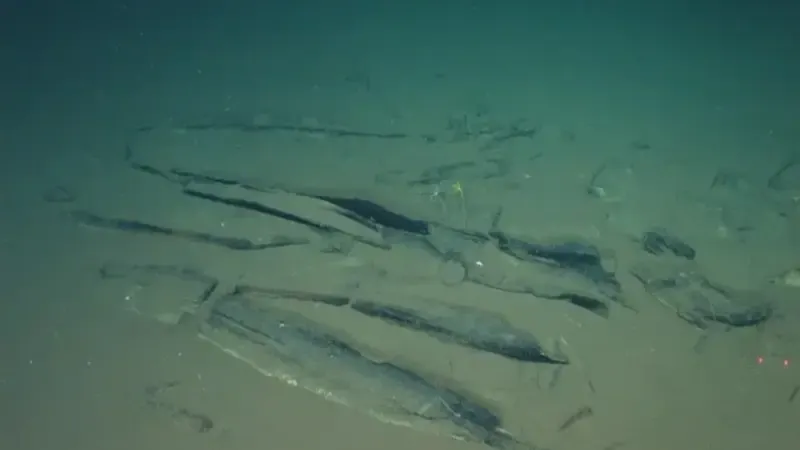 Whale graveyard