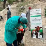 Livestock dept Lower Chitral, vet treatment of animals in Drosh