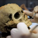 Ancient Egyptian kings and sacrifice of their slaves