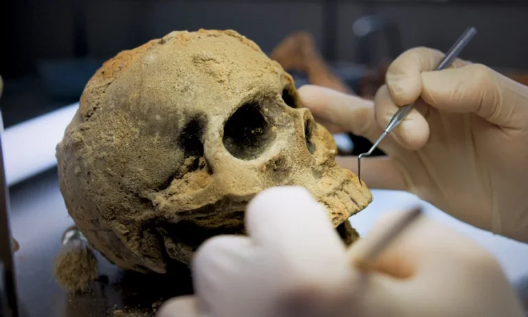Ancient Egyptian kings and sacrifice of their slaves